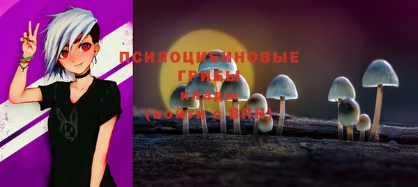 мяу мяу мука Алексин