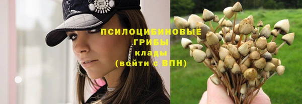 мяу мяу мука Алексин