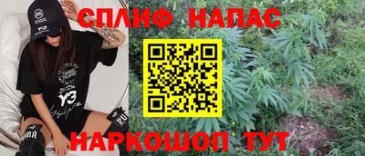 шишки Канаш