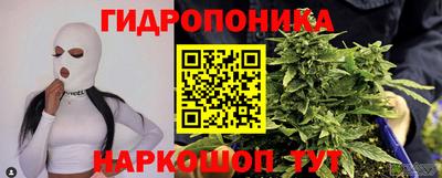 шишки Канаш