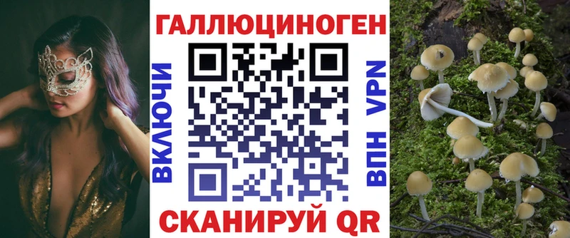 даркнет наркотические препараты  Балашов  Псилоцибиновые грибы Cubensis 