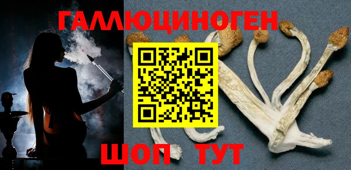 Галлюциногенные грибы MAGIC MUSHROOMS  Вход с VPN  Балашов 